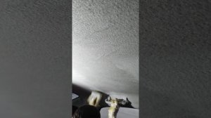 Как чистить потолок а/м Ниссан Алмера (Nissan Almera)