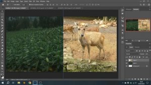 Cara buat gambar pakai gradient tool di photoshop 2023