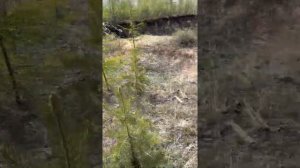 Коп Метала в Якутии Уралом !
