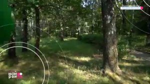 О районе Бирюлево Восточное