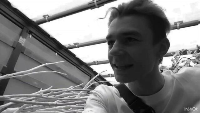 ВЛОГ "ПЕТУХИ И ГУСИ В ГОРОДЕ ТАРУСЕ VIII" Лето 2023 смотреть онлайн