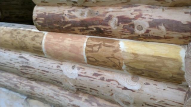 Бревна сруба НЕ ТЕМНЕЮТ. Правильная обработка древесины. Как защитить бревно и брус от потемнения смотреть онлайн