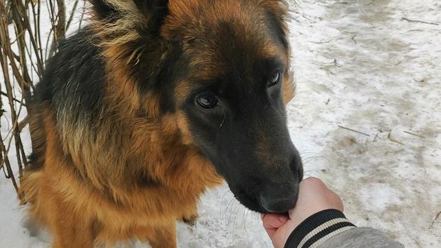 Хэппи, отрабатываем обратное наведение. Заодно объясняю, где она ошибается, а где она права