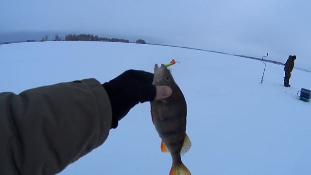 Ильинка(Чувашская Респ.) 14.01.2018 смотреть онлайн