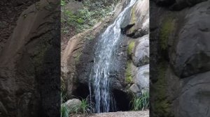 Внизу шумит морской прибой, а надо мной гора Ай Петри в сиянии дымки голубой. Алупка. 2023 июнь.