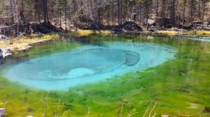 Чудо природы! Гейзерное озеро в Горном Алтае