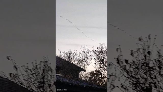 October 28, 2022 летят перелетные птицы смотреть онлайн