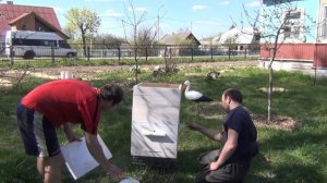 Покраска ульев акриловой краской. Тест на надежность от канала Белорусское Пчеловодство