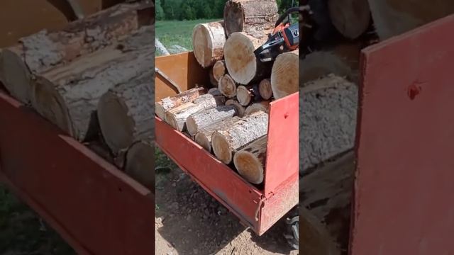 Мотороллер Муравей. Полна коробочка. смотреть онлайн