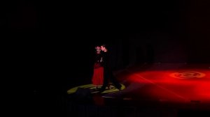 ТСК "Яр Чаллы" Концерт 25 летию - Пассодобль