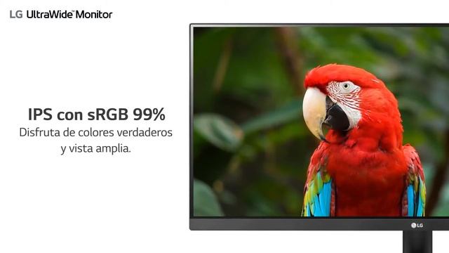 Monitor LG 29WP60G-B IPS UltraWide™ Full HD HDR de 29’’ – Más espacio, más productividad смотреть онлайн