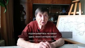 Редкий неприхотливый ягодный кустарник - войлочная вишня
