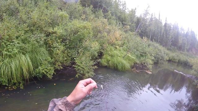 Ловля хариуса на блесну август 2017 смотреть онлайн