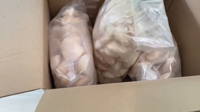 6 июля 2022 г. смотреть онлайн