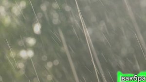 Снял видео под песню "Дожди пистолеты группы Звери"