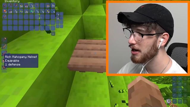MINECRAFT BUT ITS TERRARIA