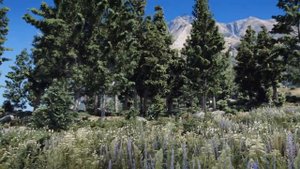 GTA V NaturalVision Evolved – новый вид графики в ГТА