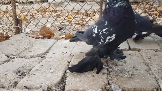 24 ноября 2021 г. смотреть онлайн