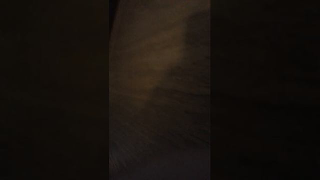 Fifa 14-Limited Edition Unboxing