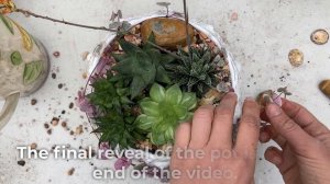 A Beginners Guide To Making Indoor Succulent Bowl Arrangement