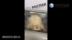 Вакуумная упаковка утки, индейки, гуся, птицы. Multivac c 200