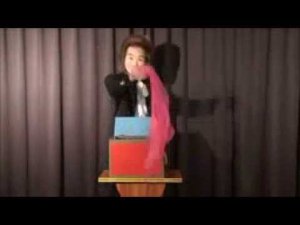 Mirror Box, фокусы для сцены