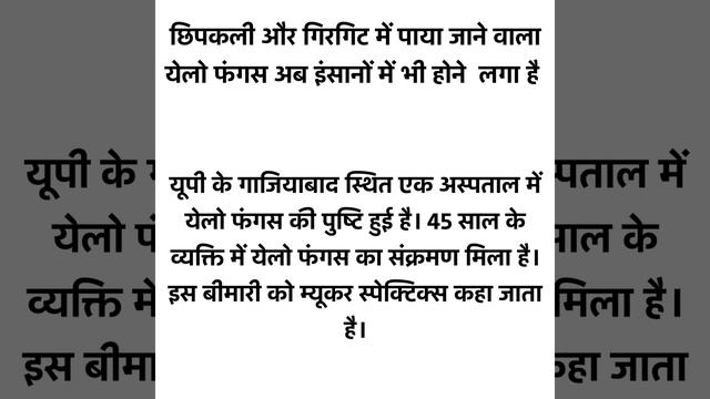 म्यूकर स्पेक्टिक्स yellow fungus क्या है смотреть онлайн