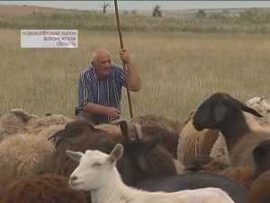 Рубрика "Окрестности" - Новохопёрский район. Елань - Колено 20.08.2019