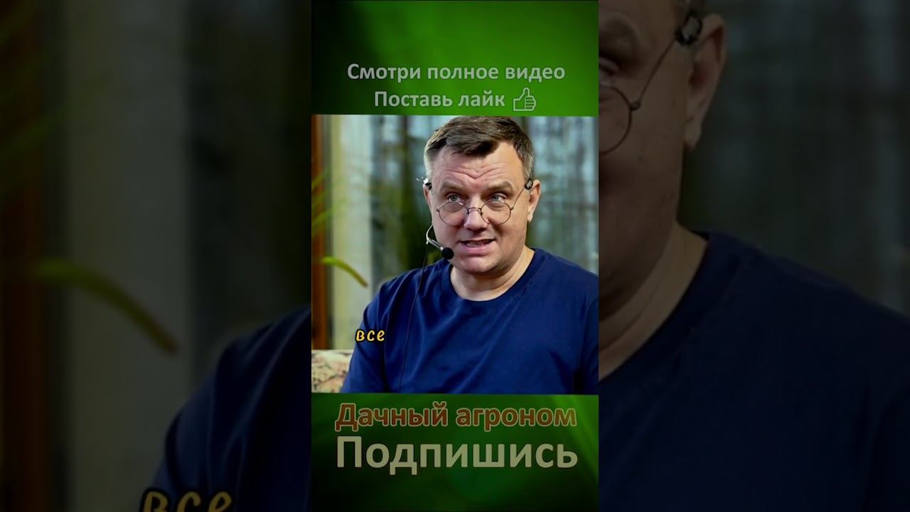 КОПАЙ ямы под саженцы ПРАВИЛЬНО Дачный агроном
