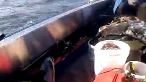 Вятбот 460р против ветра, волна 0.5