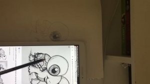 How to drawl a turtle with tracer!!????