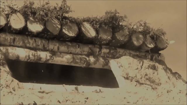 Имя, которое так близко... ДСФМШ№17 смотреть онлайн