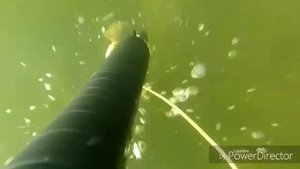 Подводная охота Хакасии!Енисейские акулы! Spearfishing in siberia!