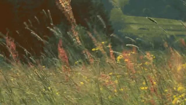 Четыре ветра Южный ветер смотреть онлайн