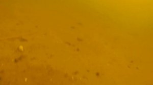 Поиск под водой без металлоискателя