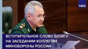Вступительное слово Шойгу на заседании Коллегии Минобороны России