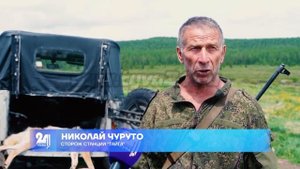 Осторожно, волки в «Тайге»!