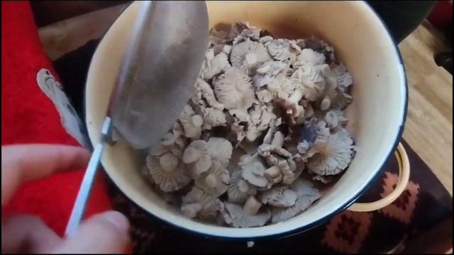 Готовим грибы #быстрыерецепты #готовимдома #вкусныерецепты #соленья #грибы