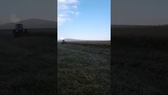 Сулутор Сенокос т40 июнь 2018 году смотреть онлайн