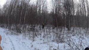 тропление зайца зимой .взяли огромного зайца .21 .11 .21