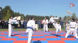 Показательные выступления по Тхэквондо