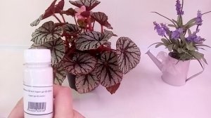 Препараты для обработки растений.