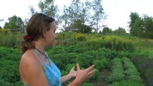 Ô jardins d'Églantine