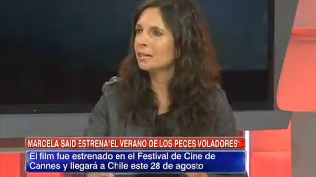 La propuesta de la película "El verano de los peces voladores" смотреть онлайн