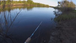 Сумасшедший клёв бешеной щуки-травянки.