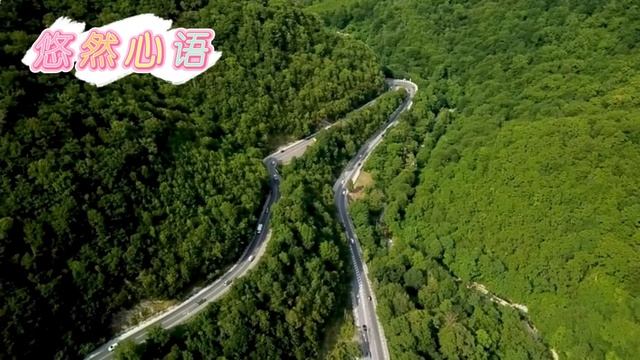 （完整版）成为百亿总裁夫人，每天50万零用钱随便花，豪门霸总宠妻宠上天