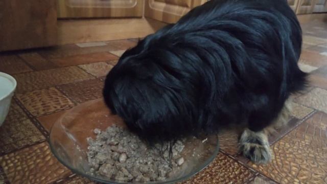 Куколь ну ооочень вкусно кушает!)) смотреть онлайн