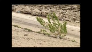 Фильм "Покаяние"