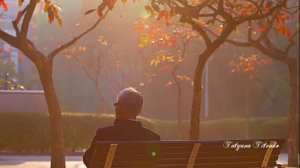 Мелодия души...Осенний мотив Вадим Гурьев Autumn motive Vadim Guryev