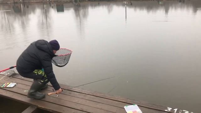 Продолжаем ловить форель РК «Фишка» Петряиха смотреть онлайн